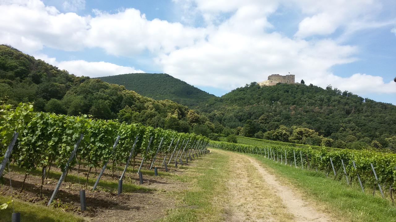 Gaestehaus Weingut Glas Neustadt an der Weinstraße Екстериор снимка