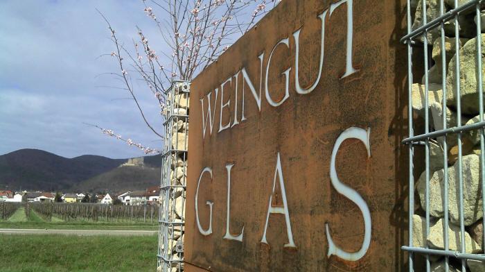 Gaestehaus Weingut Glas Neustadt an der Weinstraße Екстериор снимка
